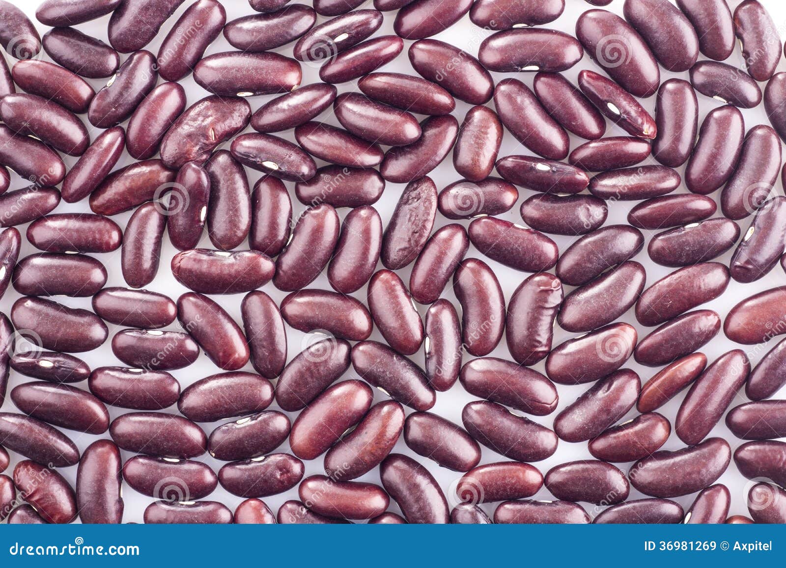 Haricot beans stock image. Image of macro, health, diet 36981269