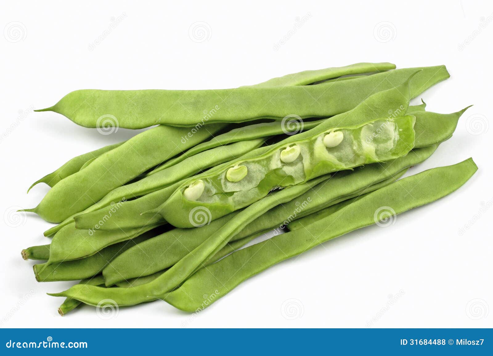Haricot commun photo stock. Image du nourriture, légumineuse 31684488