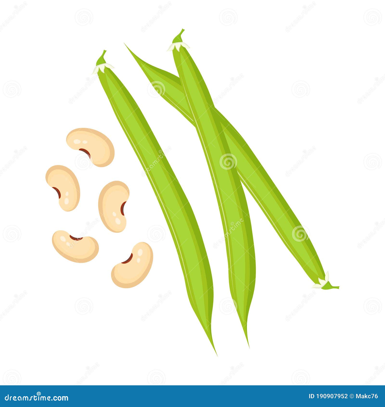 Haricot Bean Cartoon Stock Illustrations – 327 Haricot Bean Cartoon Stock Illustrations, Vectors & Clipart - Dreamstime Haricot Bean Cartoon Stock Illustrations – 327 Haricot Bean Cartoon Stock Illustrations, Vectors & Clipart - Dreamstime