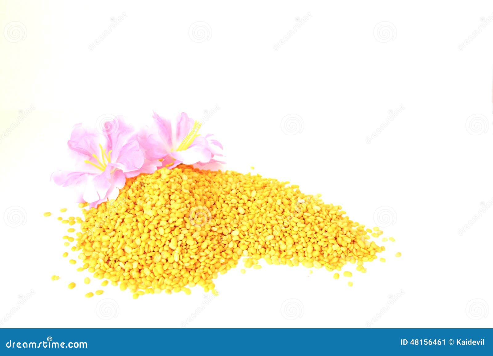 Haricots fendus de soja. Pile des haricots de soja de fente décoratifs avec la fleur artificielle