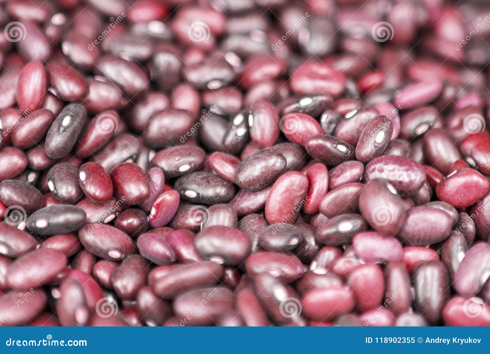 Haricots rouges frais présentés également Photo avec une profondeur de champ