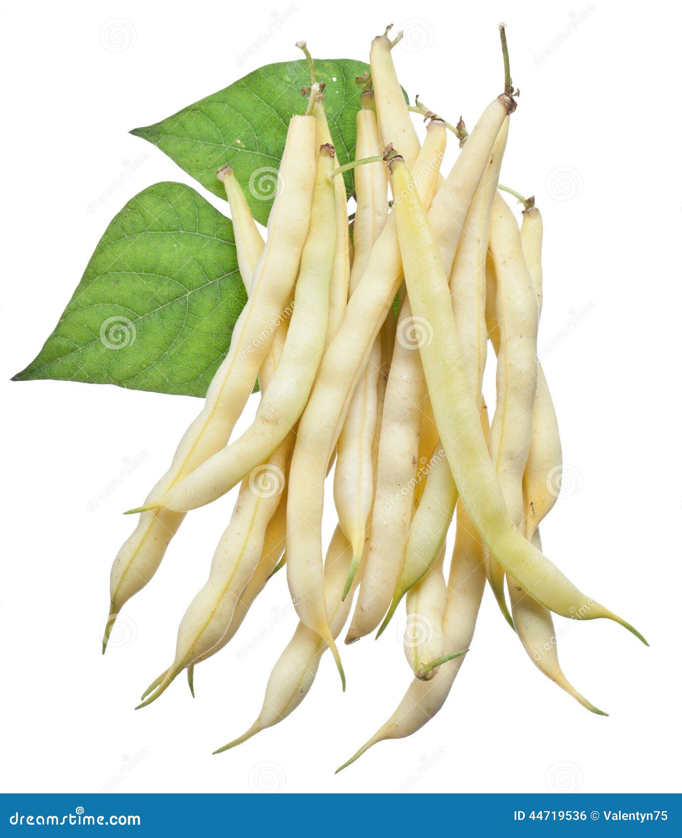 Haricots Verts Jaunes D'isolement Sur Un Blanc Photo stock - Image ...