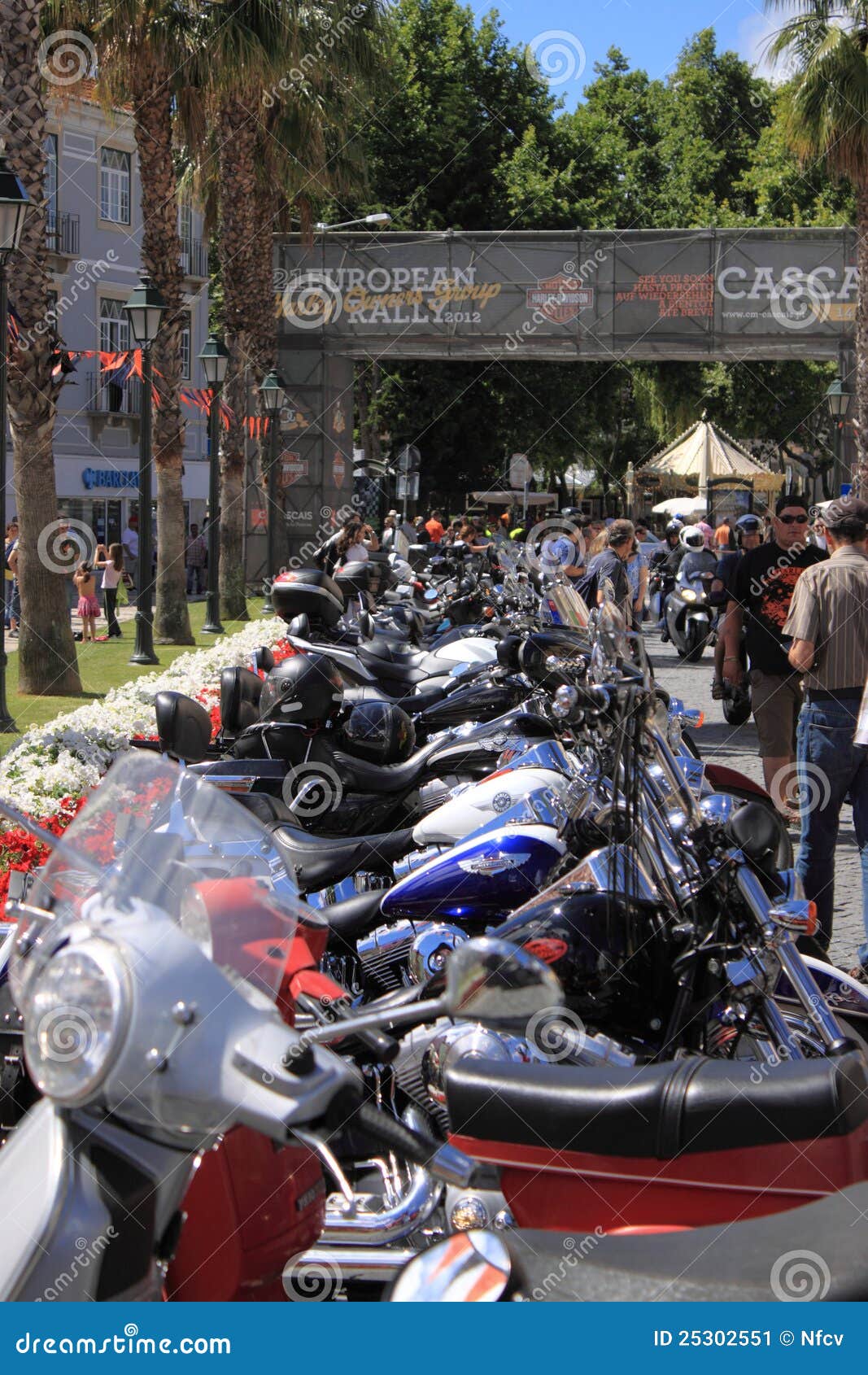 harley davidson parade fan