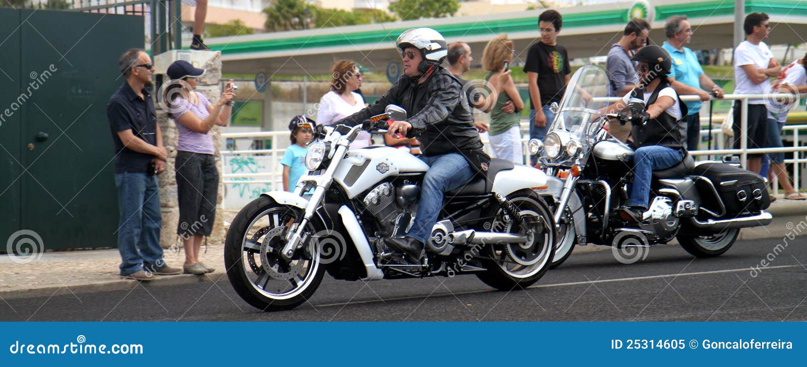 harley davidson parade fan