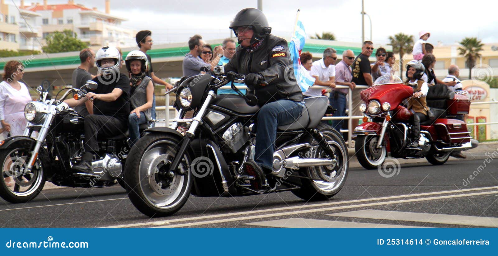 harley davidson parade fan