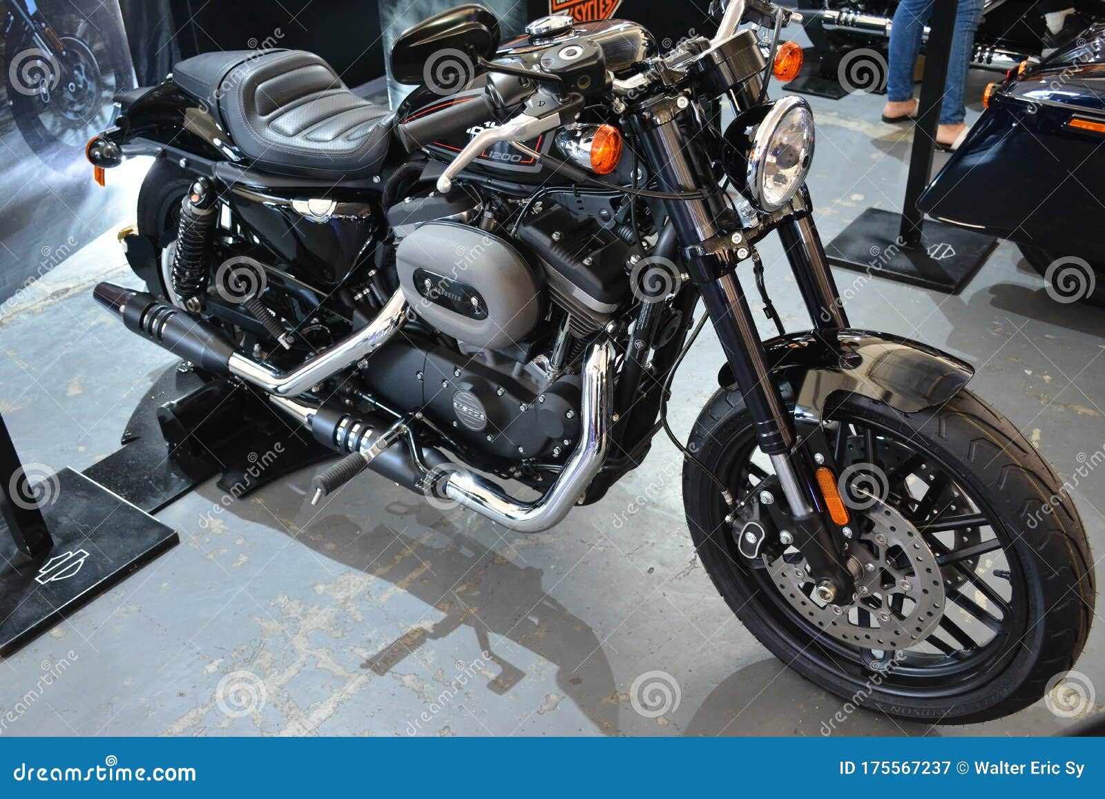 Top 104 harley davidson 1200 roadster không thể bỏ qua  thdonghoadian