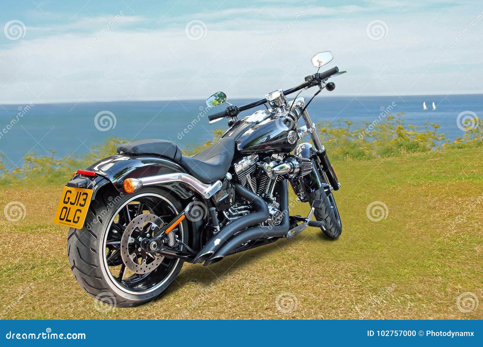 230 Harley Sea Photos Free Royalty Free Stock Photos From Dreamstime