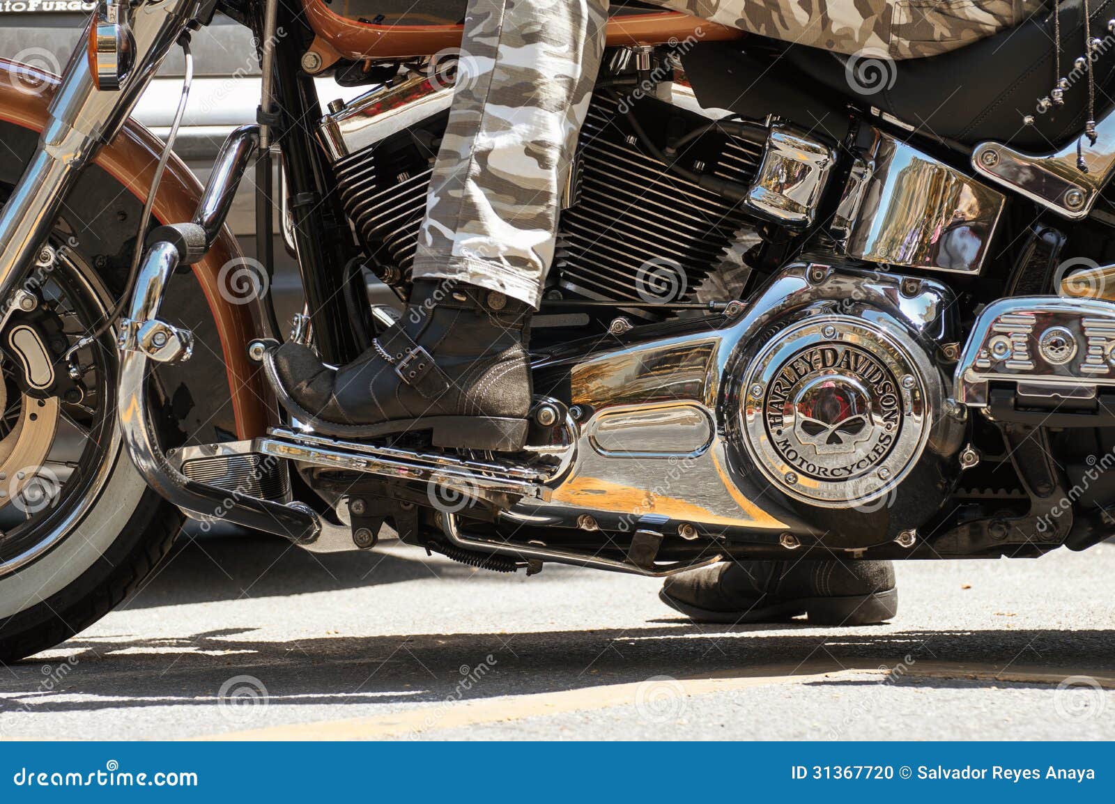 how to drive a harley