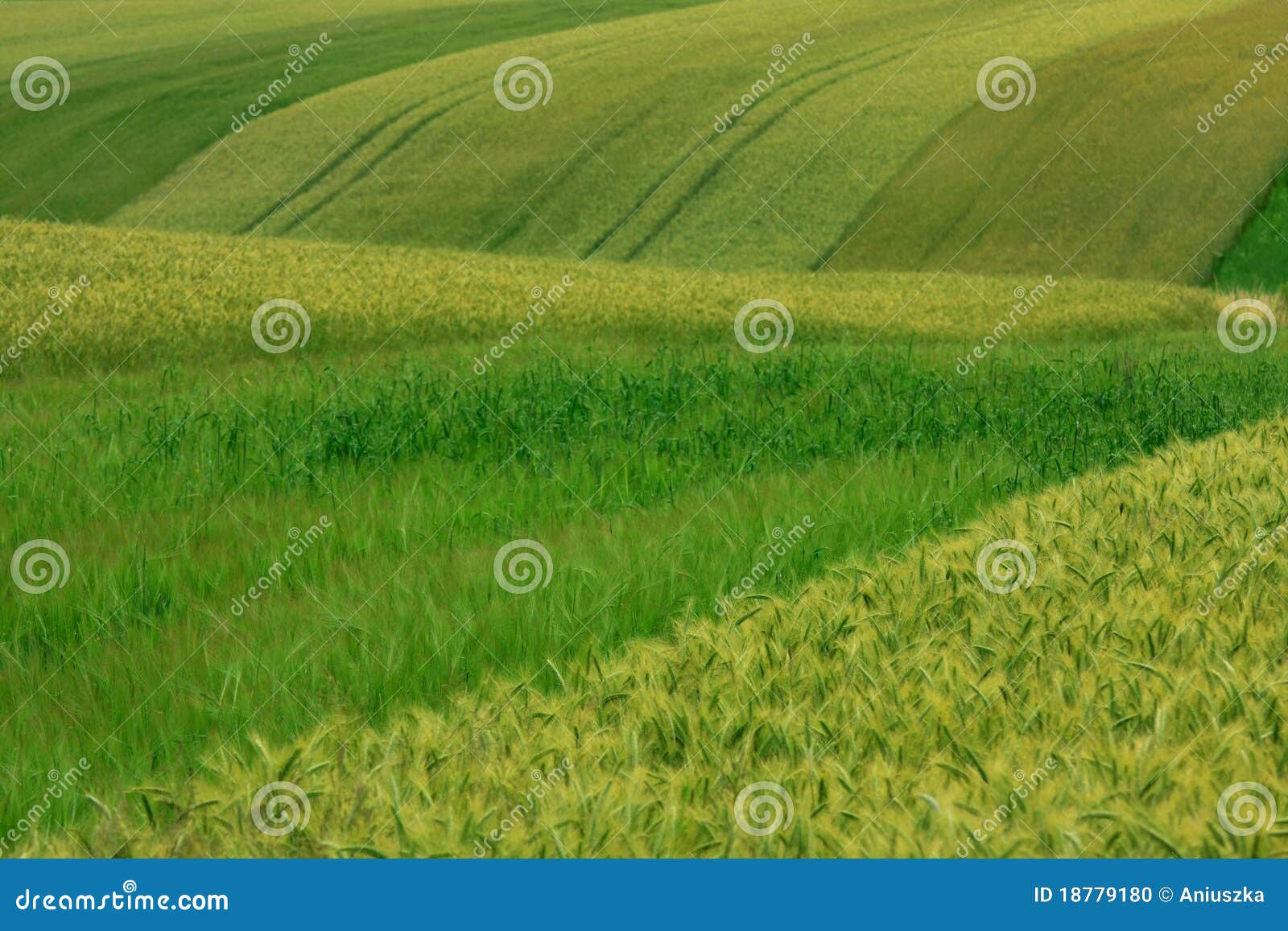 Harmonia na natureza foto de stock. Imagem de terra, ambiente - 18779180, image size:1600x1157