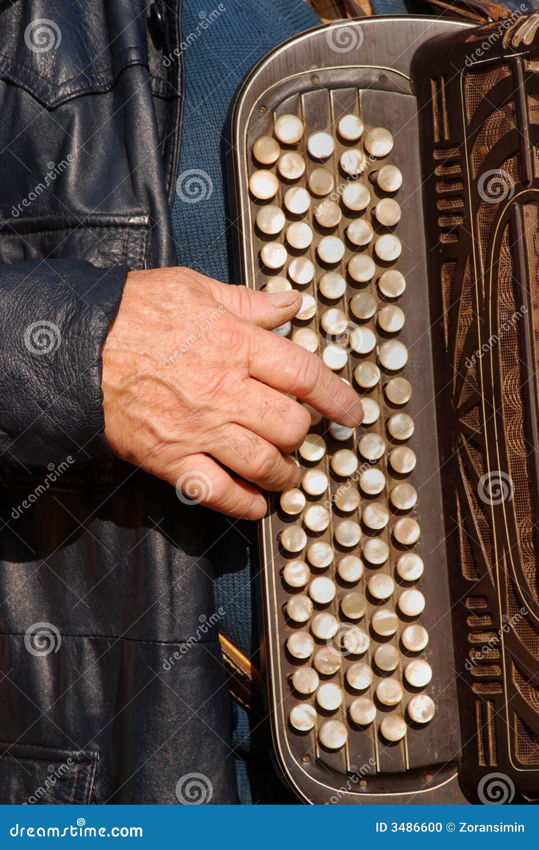 Harmonica 01 stock photo. Image of italy, harmonica, france 3486600