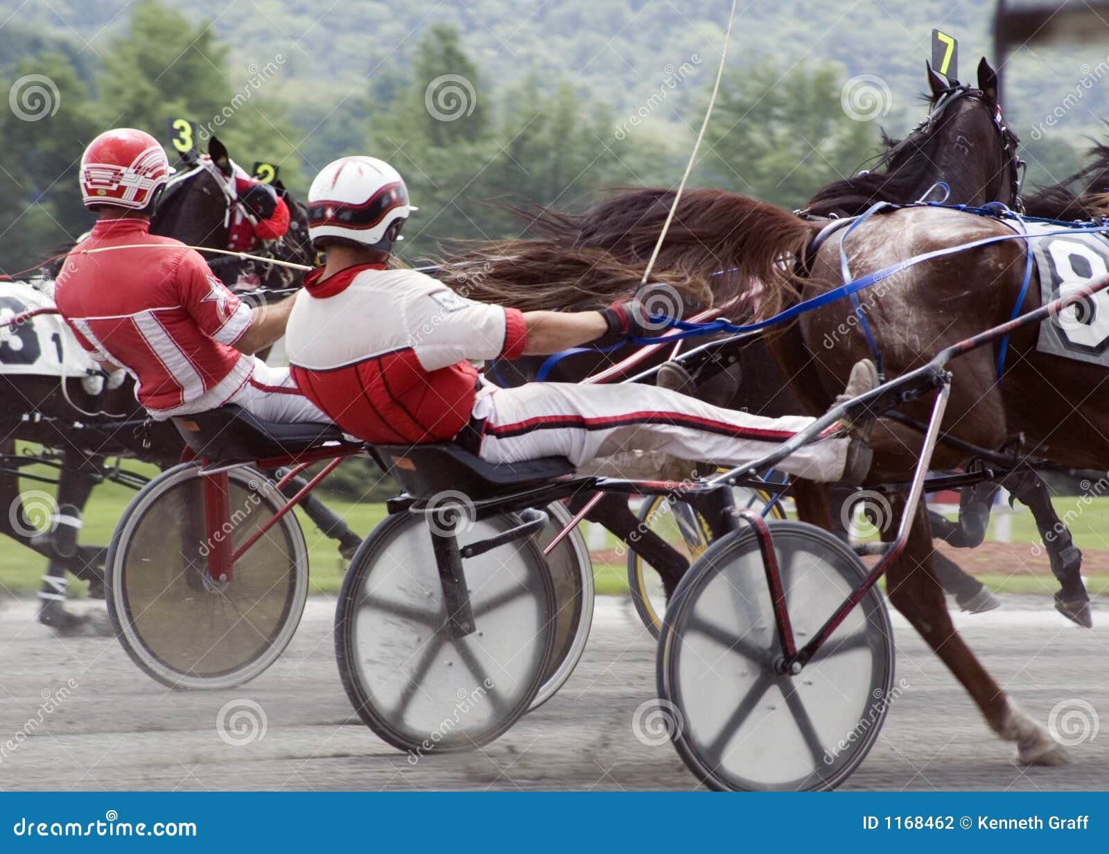Harness race2 stock photo. Image of speed, driver, strength 1168462