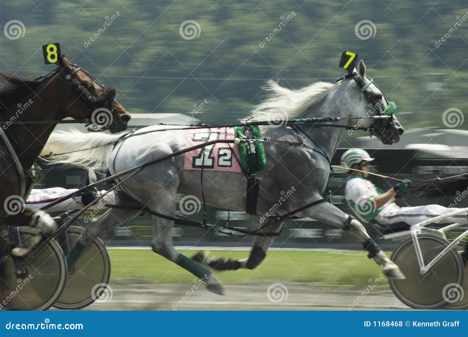 Harness race4 stock photo. Image of action, strength 1168468