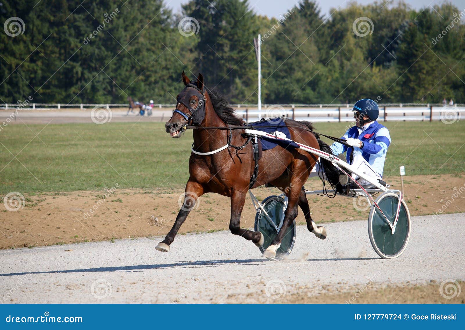 Harness Racing at the Hippodrome Editorial Stock Image Image of sulky