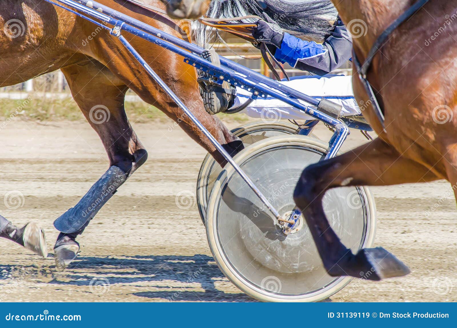 Harness racing. stock image. Image of gamble, driver 31139119