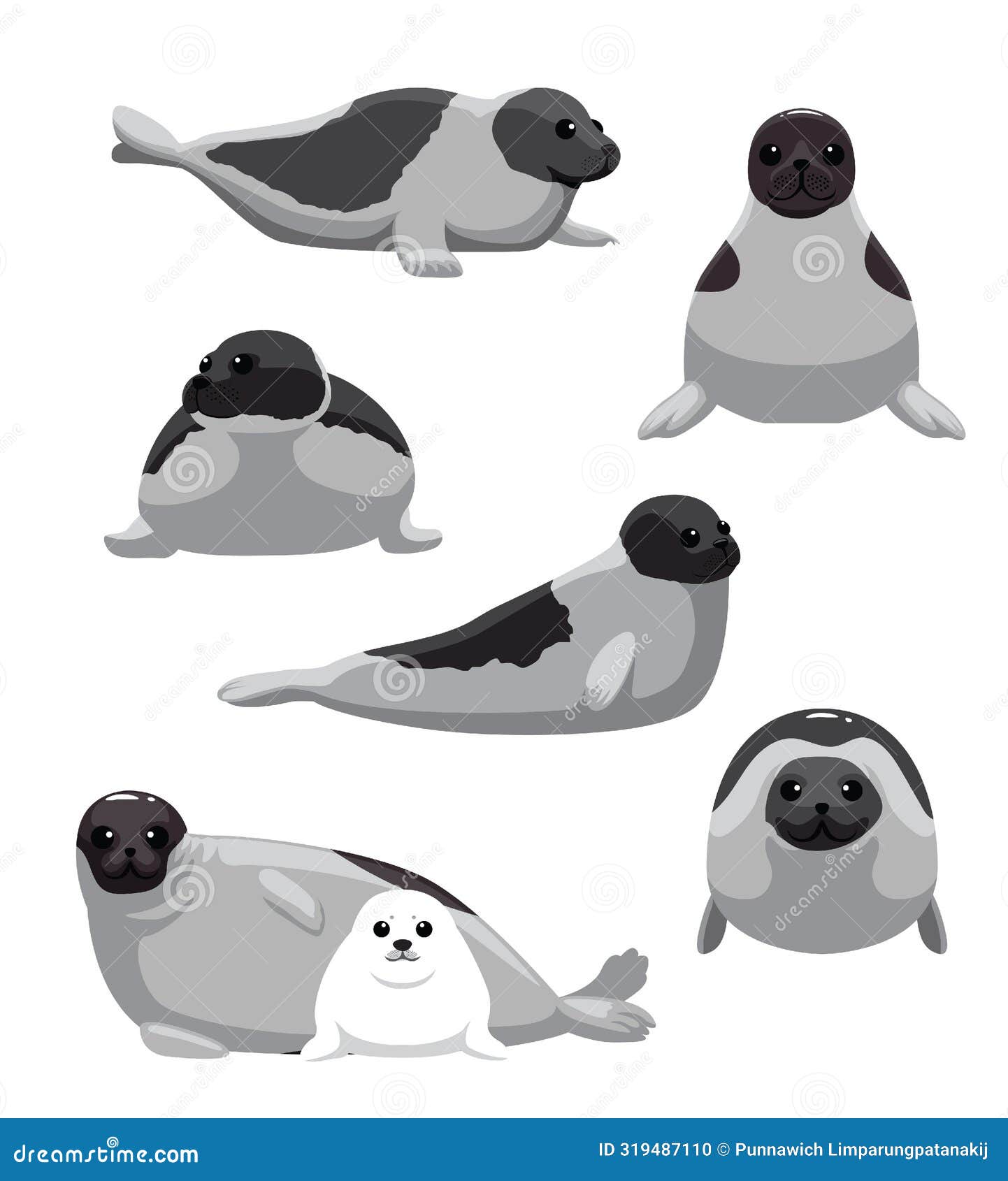 Harp Seal Various Poses Set Cartoon Vector Stock Illustration ...