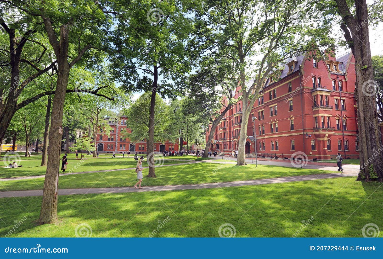 Harvard University Campus in Cambridge Editorial Stock Image Image of