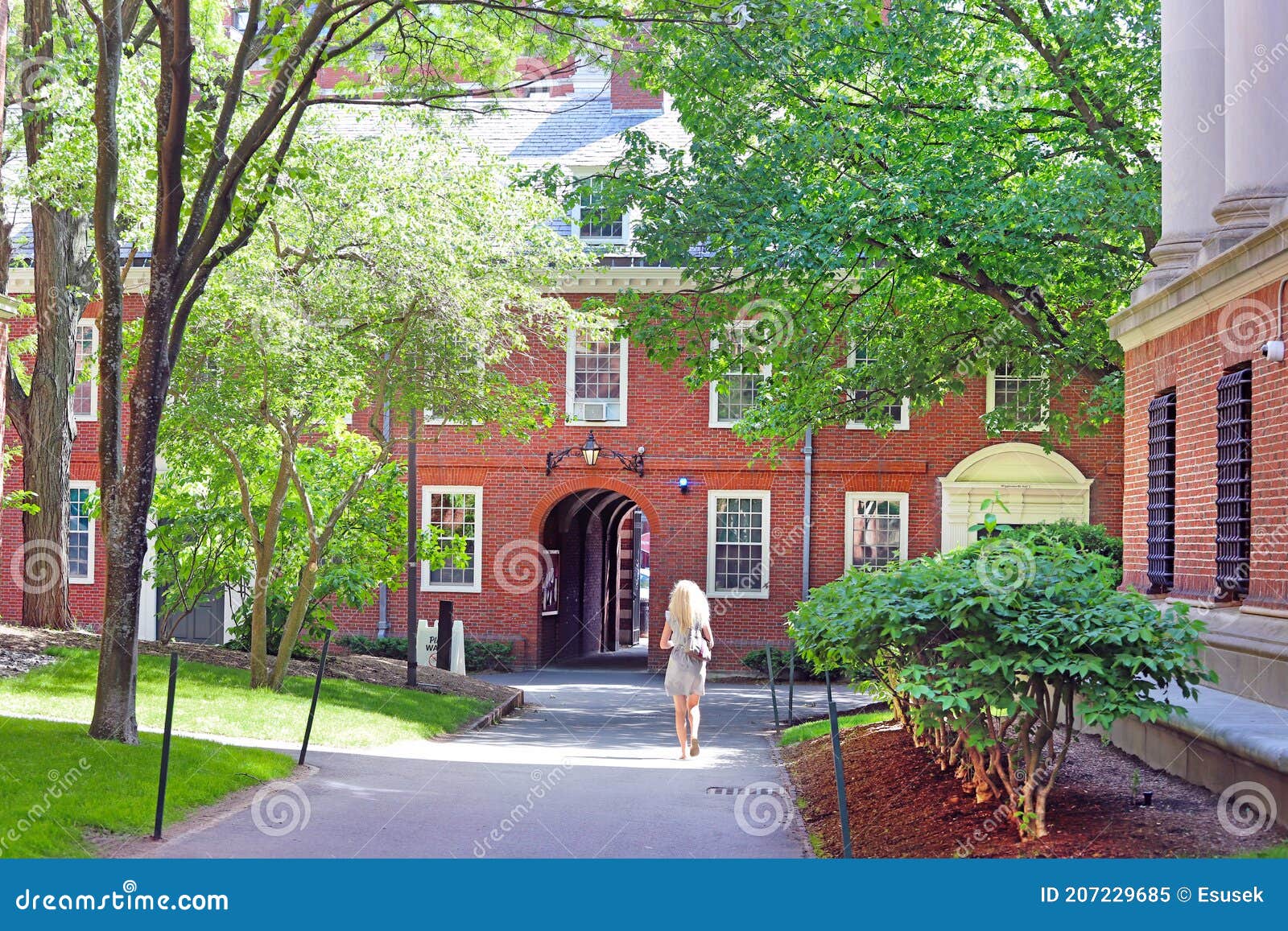 Harvard University Campus in Cambridge Editorial Image Image of