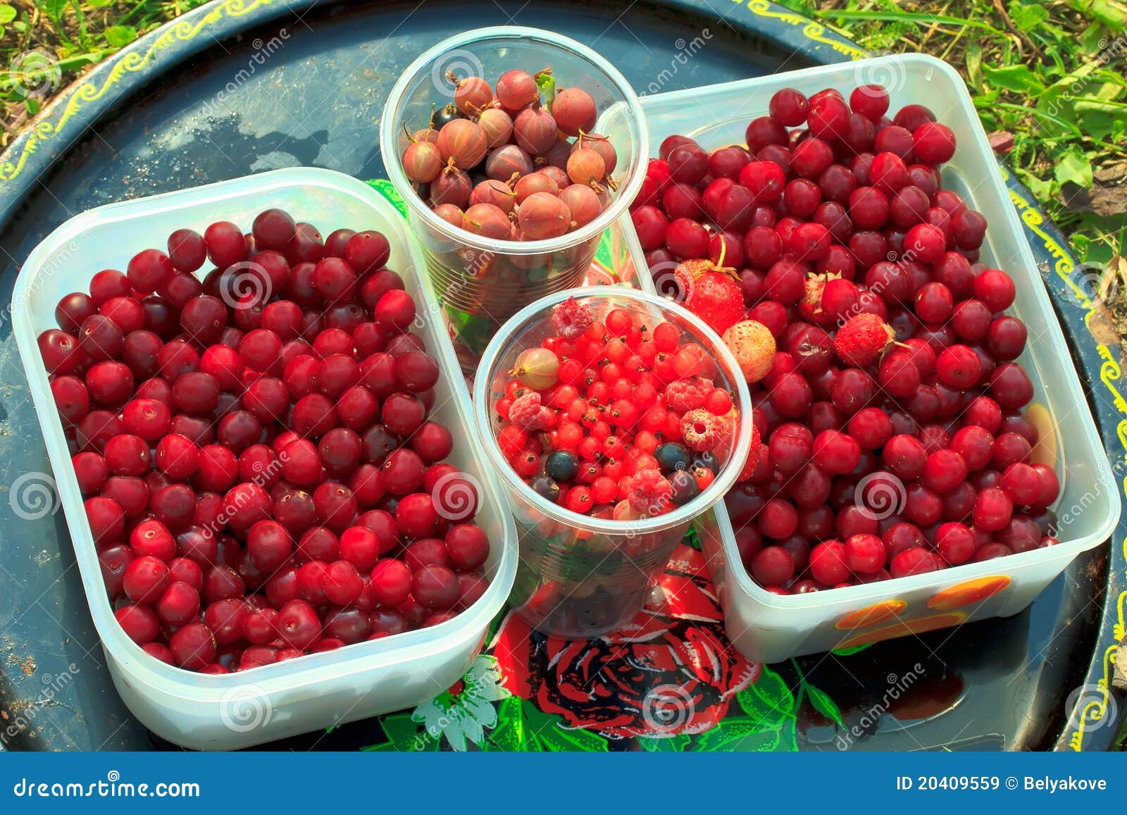 Harvest berries stock image. Image of food, juicy, bright 20409559