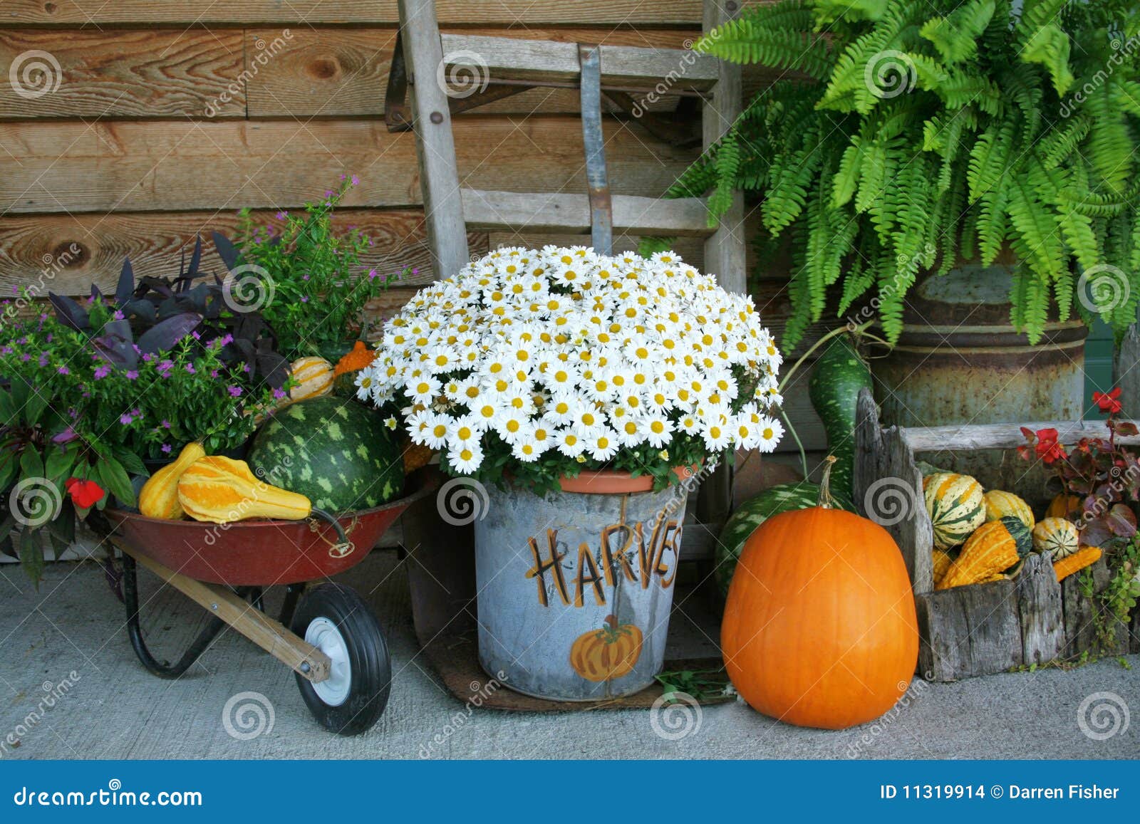 Harvest Decorations stock photo. Image of bounty, baskets 11319914