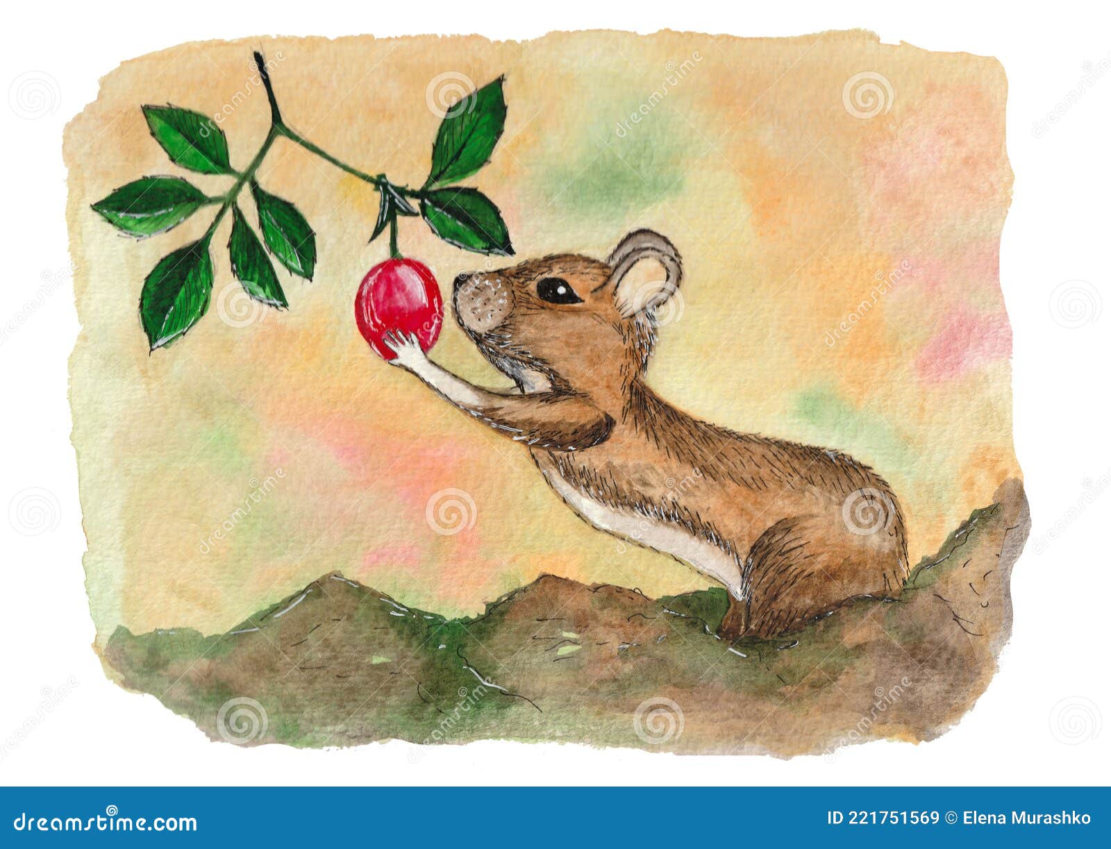 Field Mouse Vector Images over 980