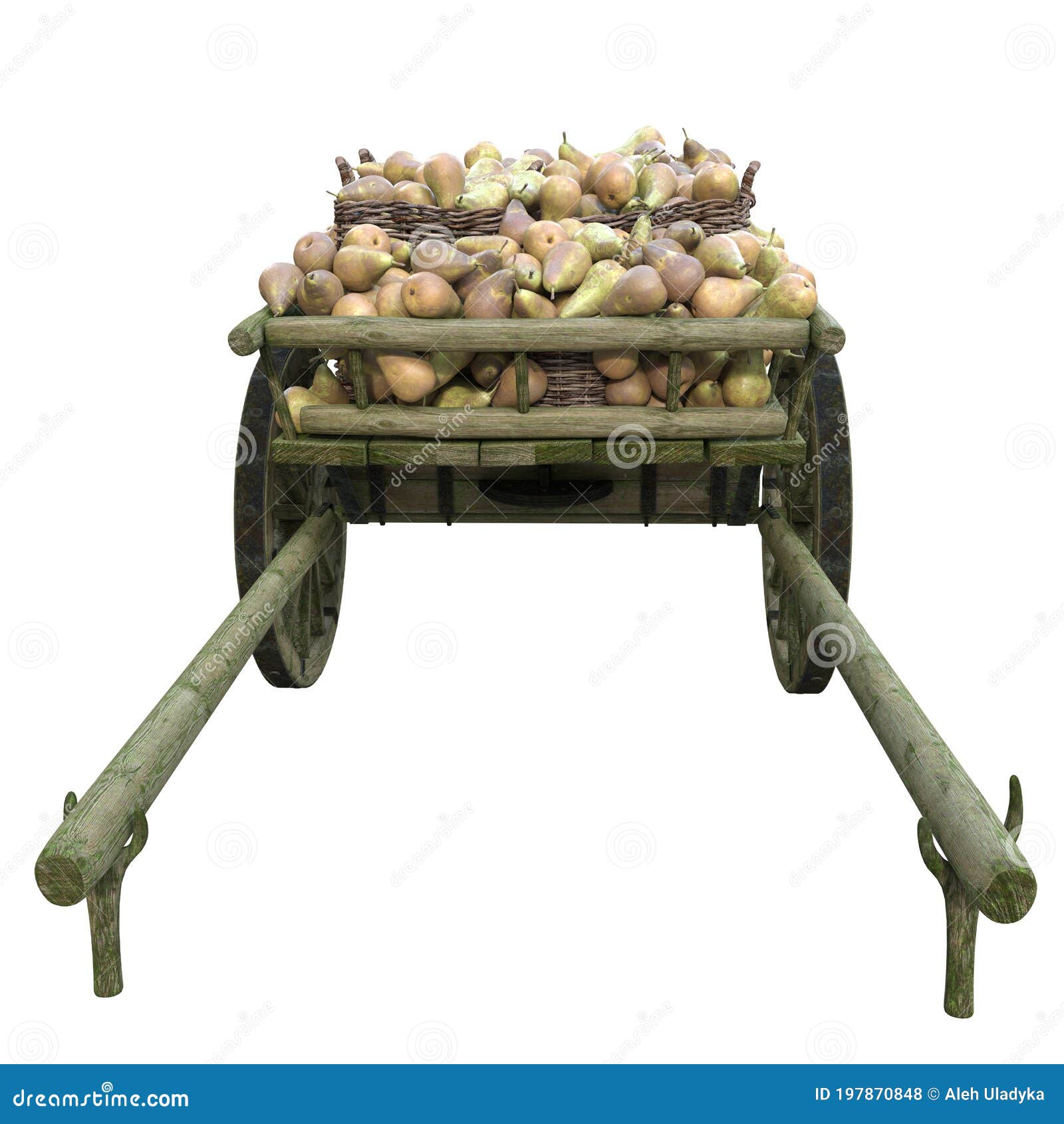 harvest ripe pears in metal buckets in a wooden cart