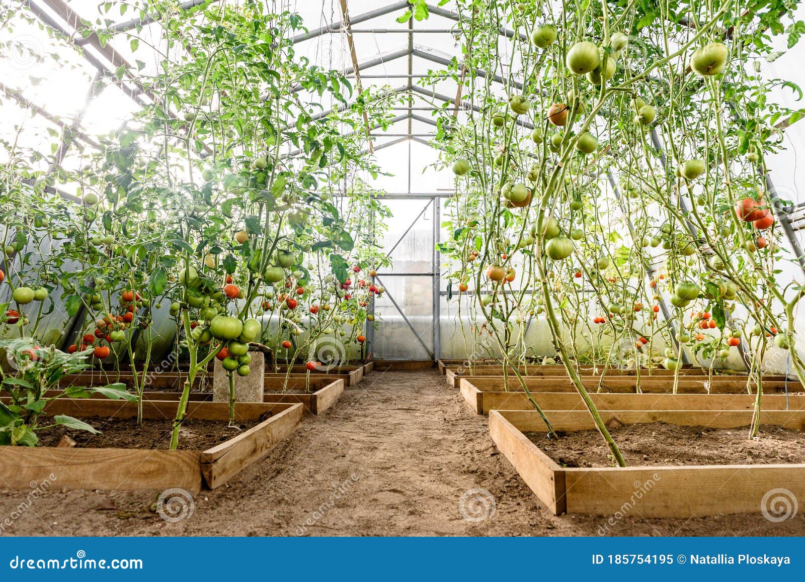 Harvest horticulture