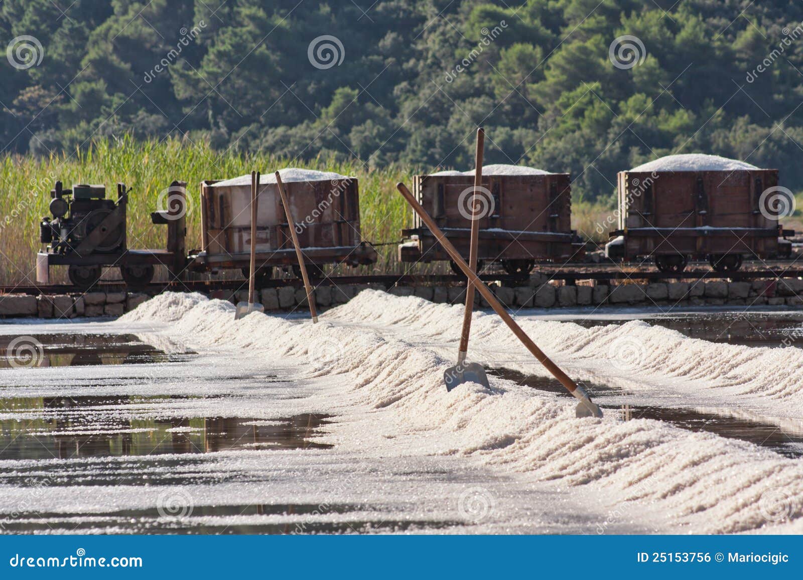 Harvest of sea salt stock photo. Image of adriatic, europe 25153756