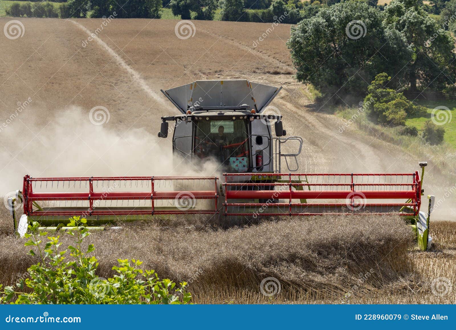 harvest time - combine harvester