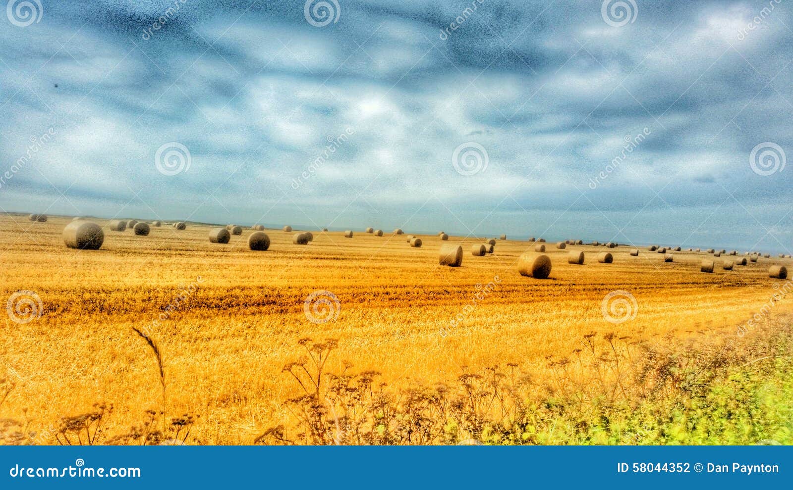 Harvest time stock photo. Image of bales, golden, straw 58044352