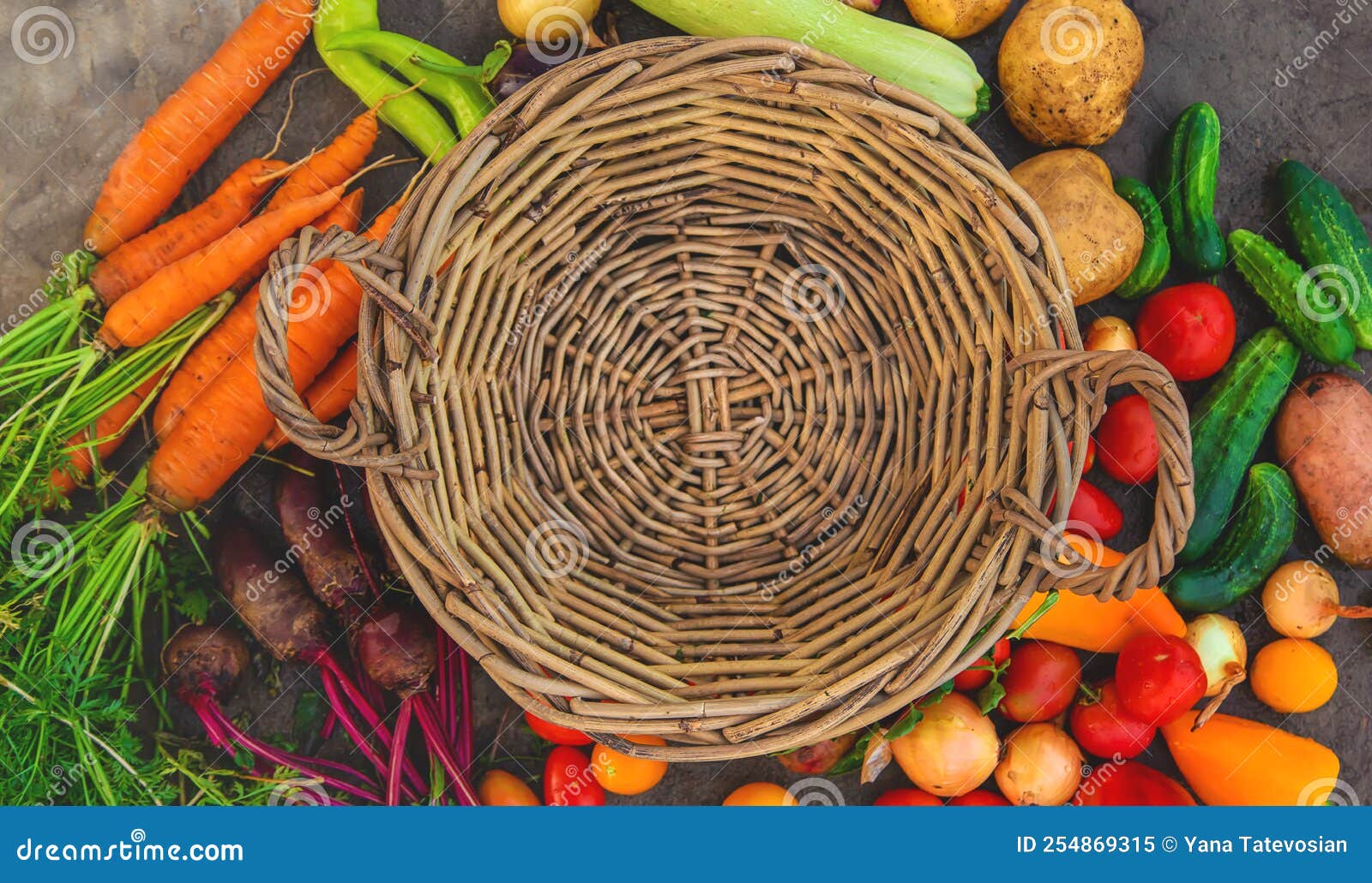 Harvest Vegetables in the Garden. Selective Focus Stock Image Image