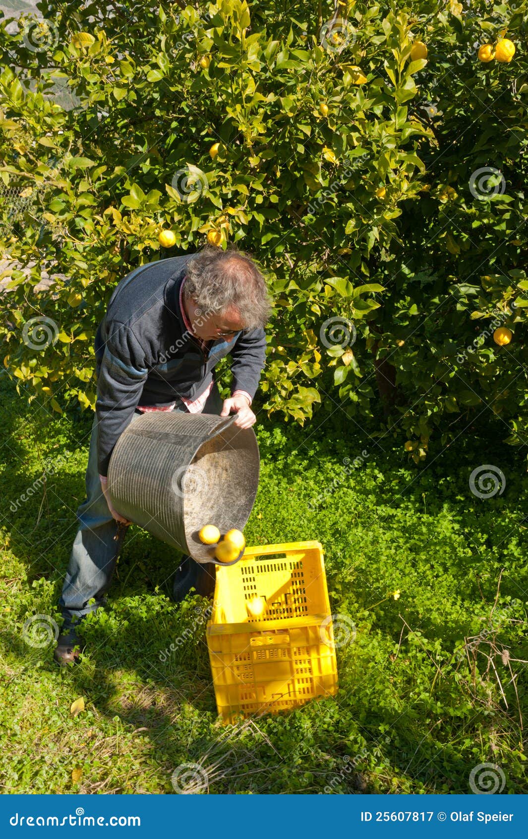 Harvest worker stock image. Image of field, harvester 25607817