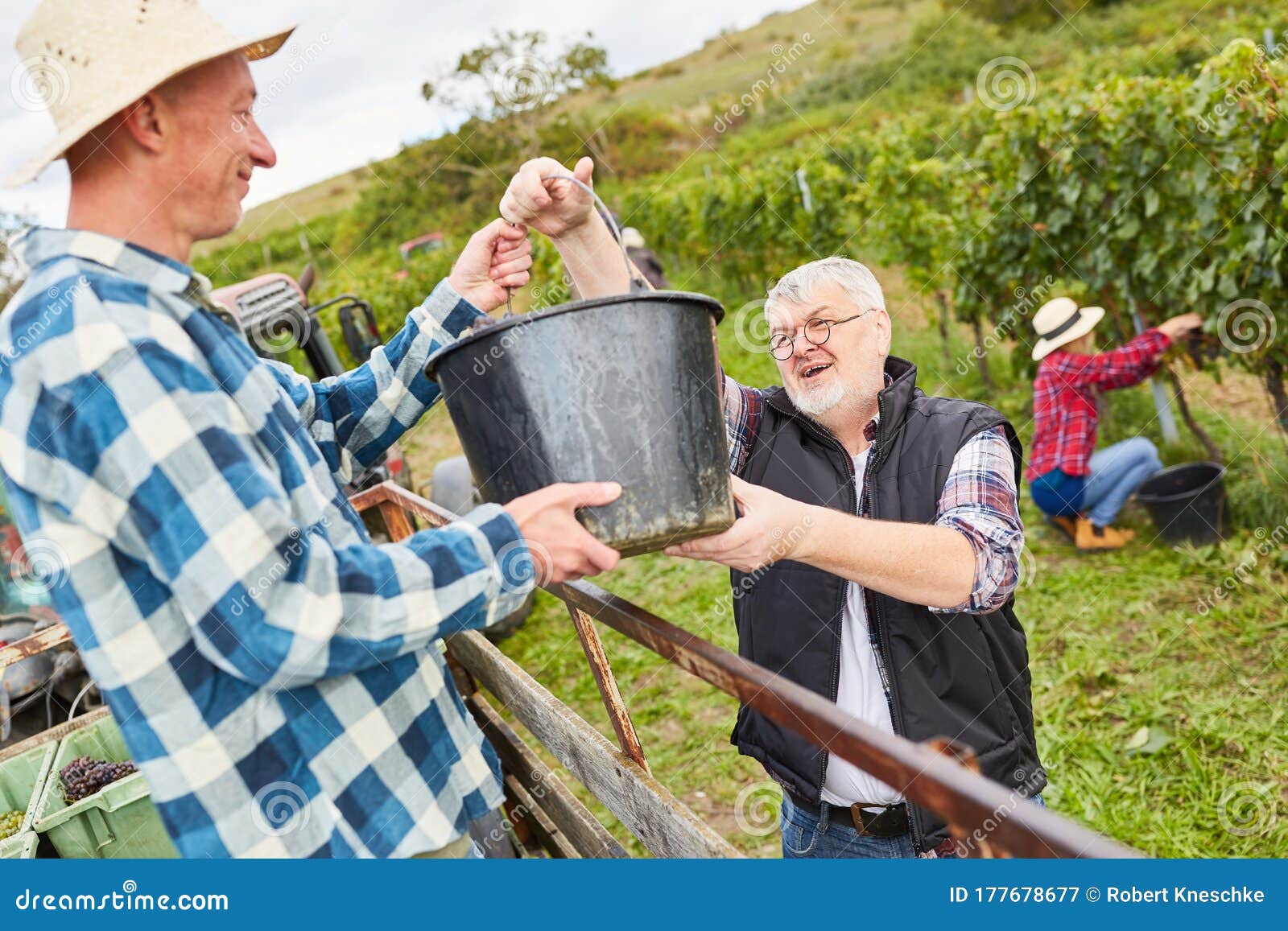 Harvesters Work Together when Loading Stock Image Image of outside