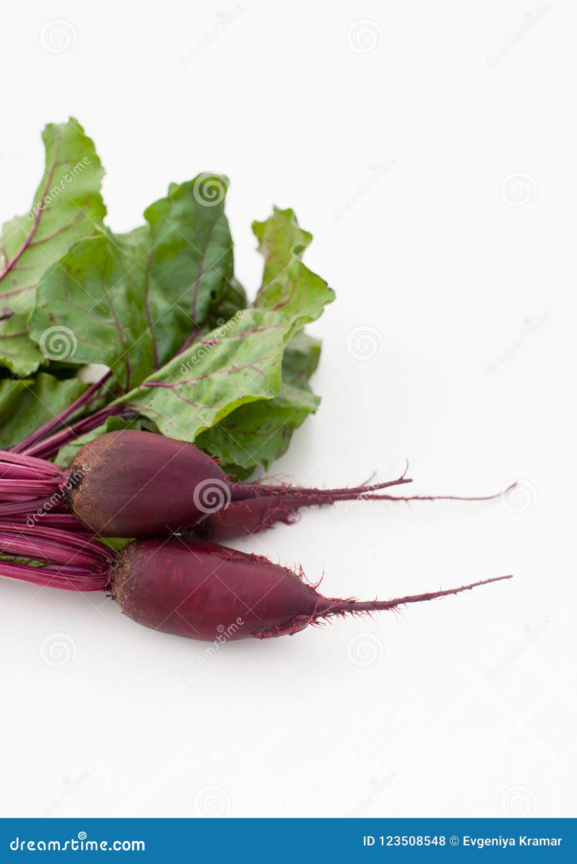 Young Beetroot with Leaves on White Background Stock Photo Image of