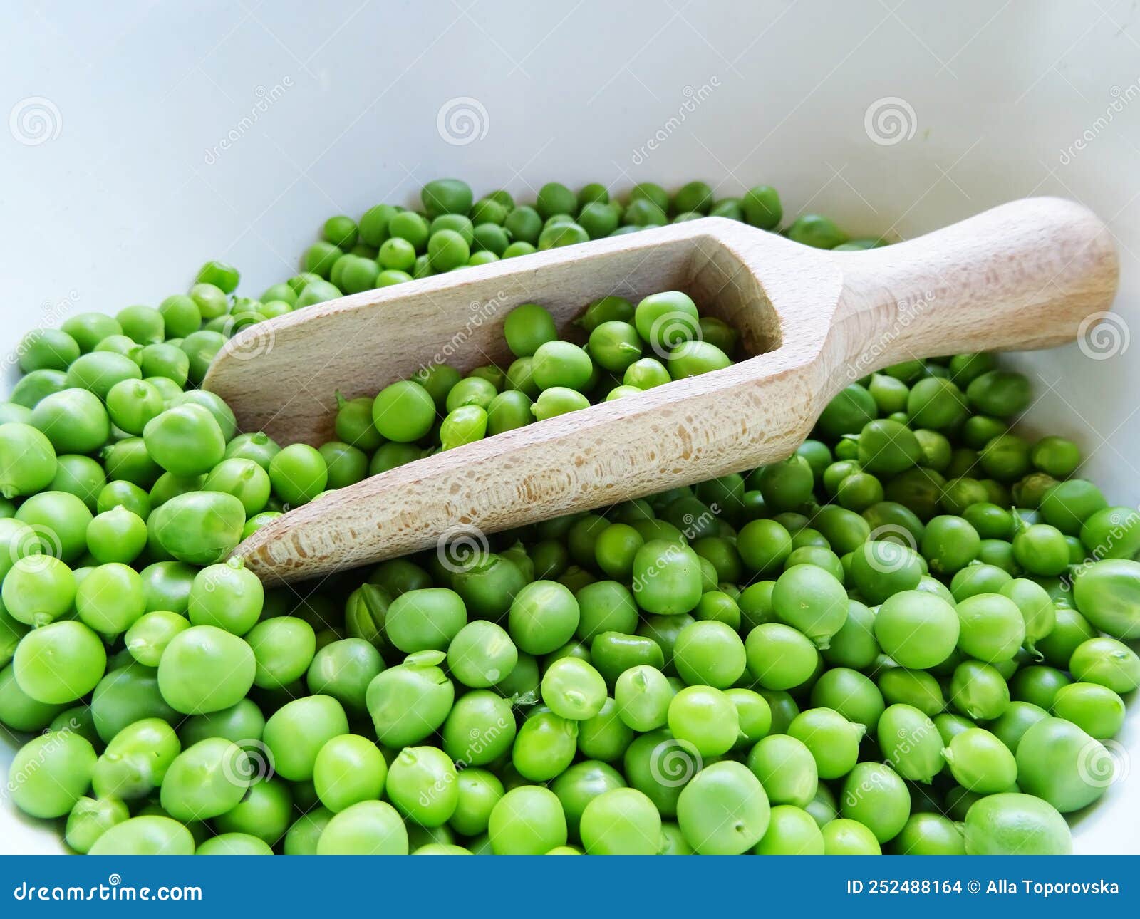 Harvested Fresh Green Peas for Cooking Stock Photo Image of diet