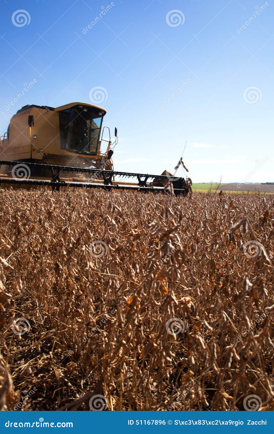 harvester making harvesting soybean field - mato grosso state -