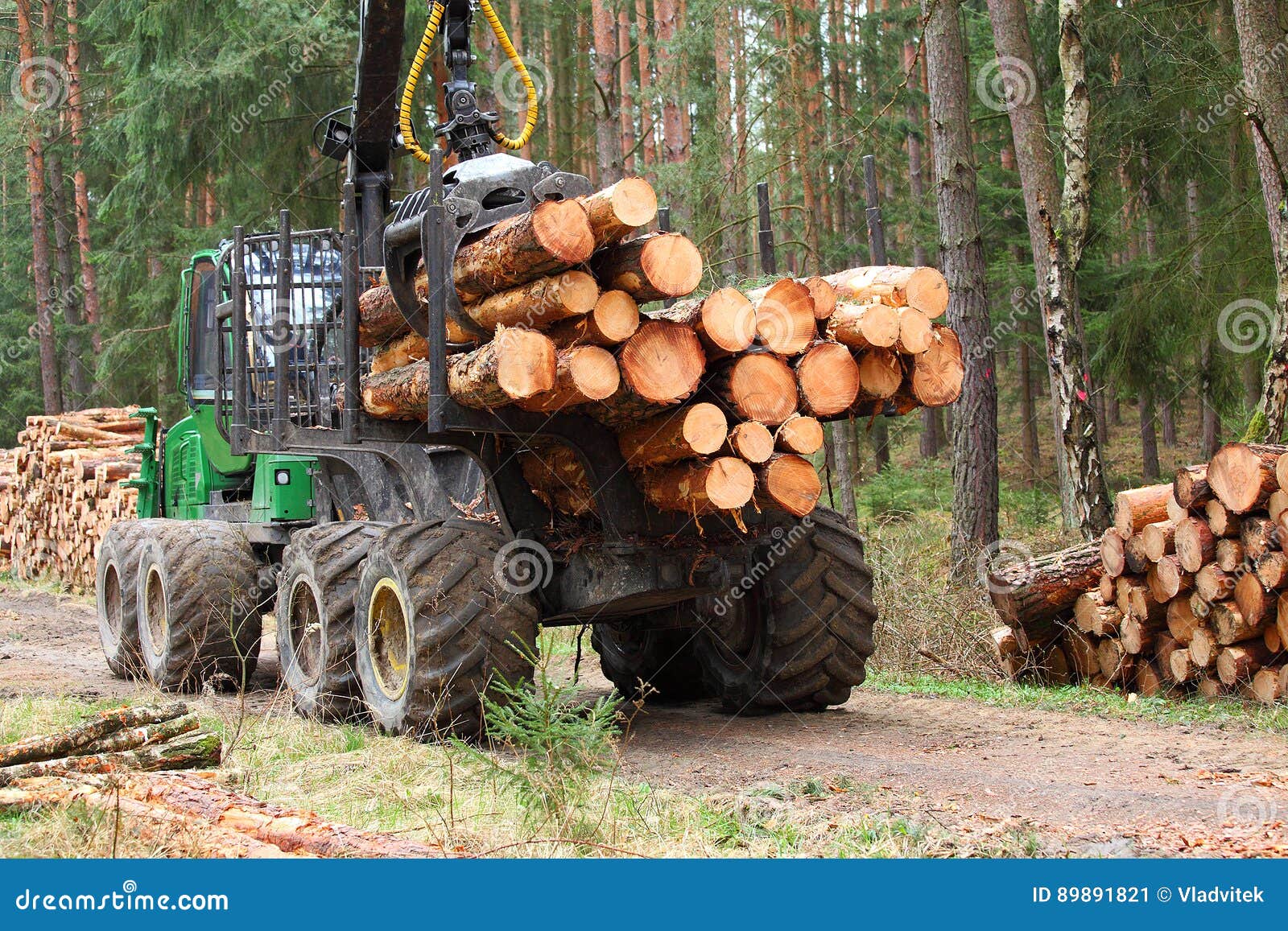 the harvester working in a forest.