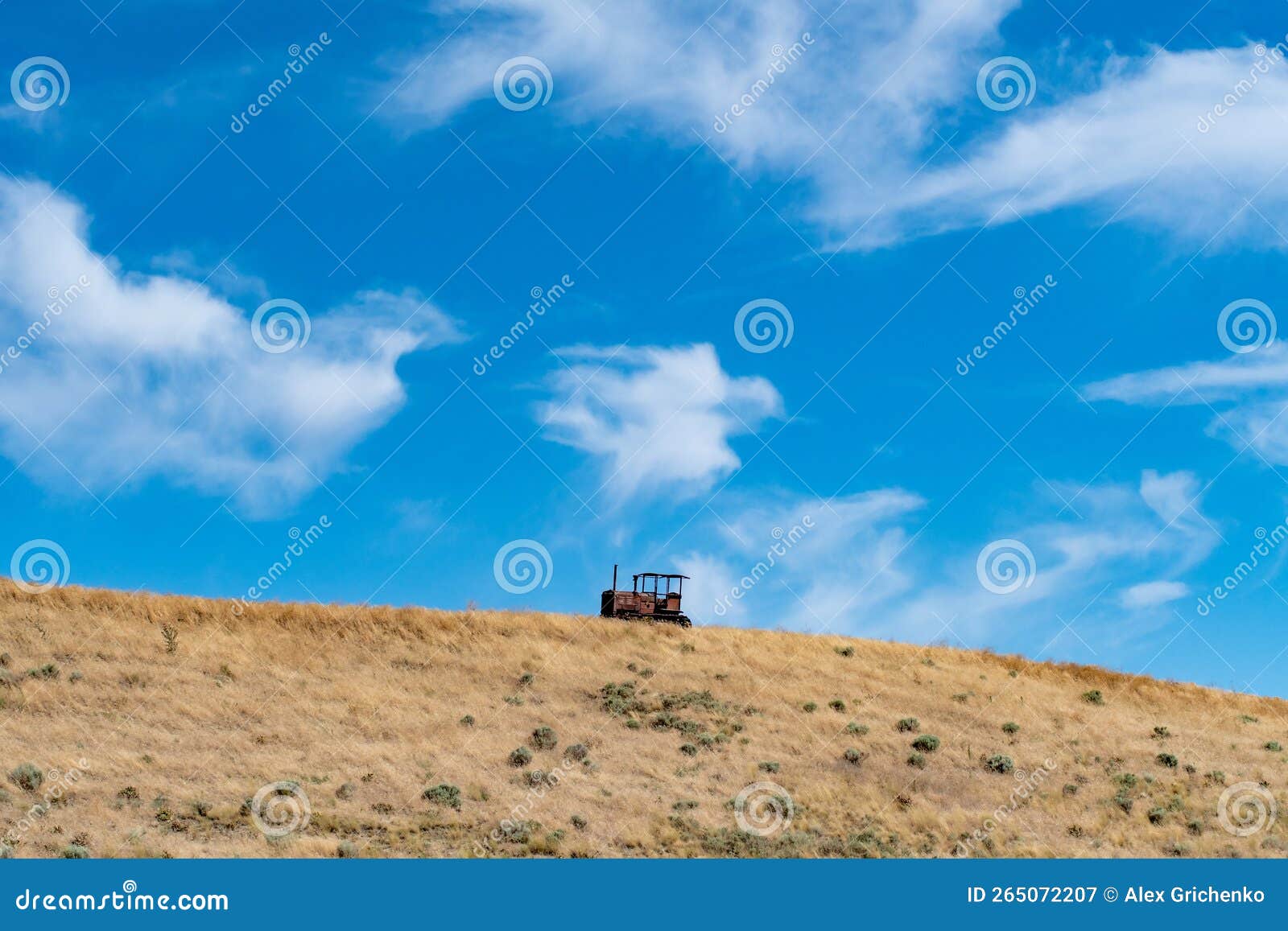 Harvesting Crops on Palouse Washington Wheat Fields in Summer Stock