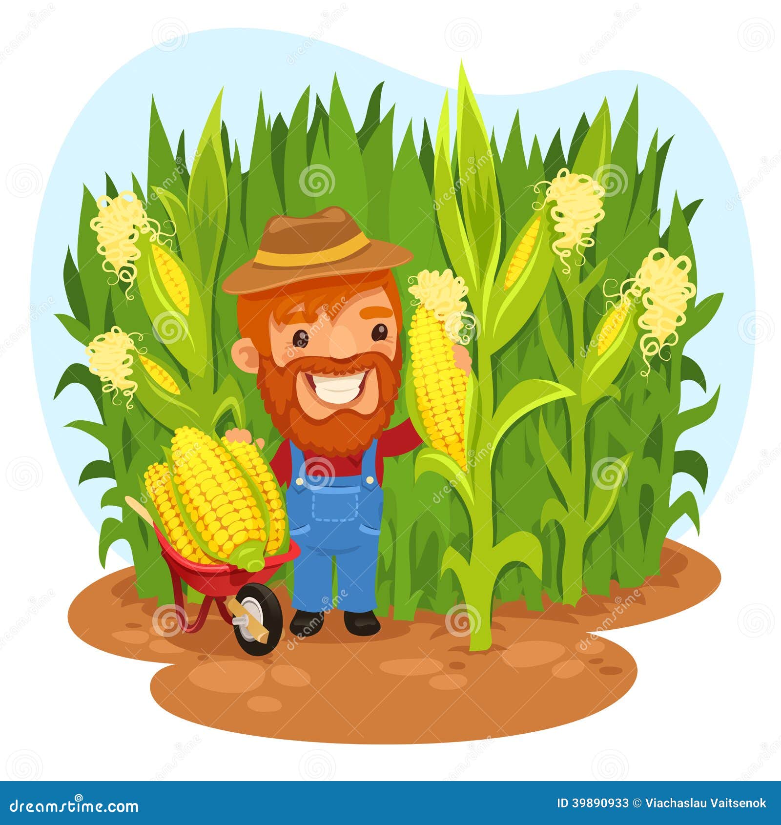 harvesting farmer in a cornfield