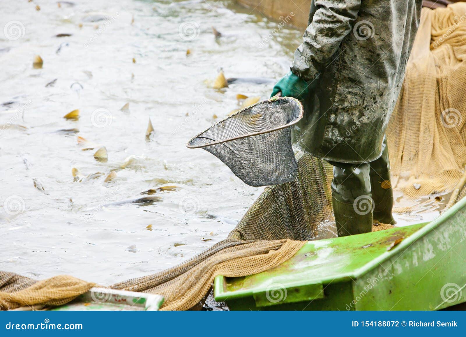 Harvesting pond stock photo. Image of outdoor, exterior 154188072