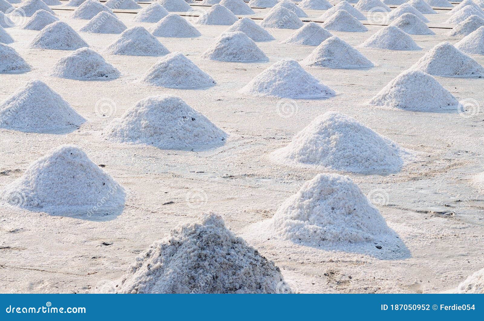 Harvesting Salt on Salt Beds Stock Photo Image of soil, salty 187050952