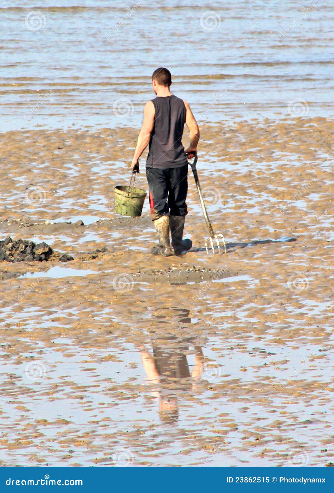 Harvesting shellfish editorial image. Image of harbour 23862515