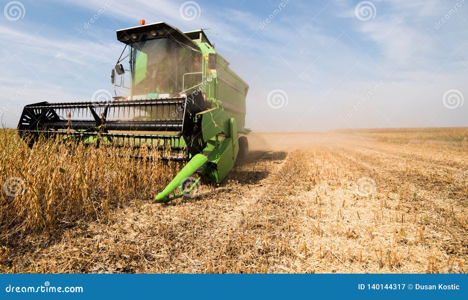 Harvesting of Soy Bean Field with Combine Stock Image Image of