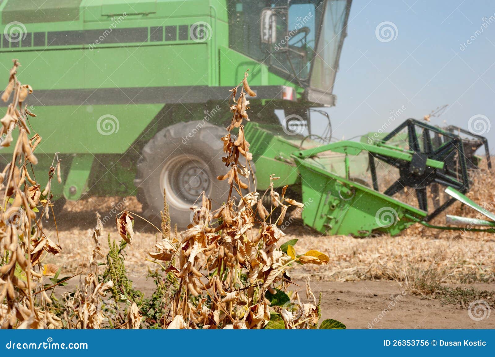 Harvesting soybeans stock photo. Image of machinery, cutting 26353756