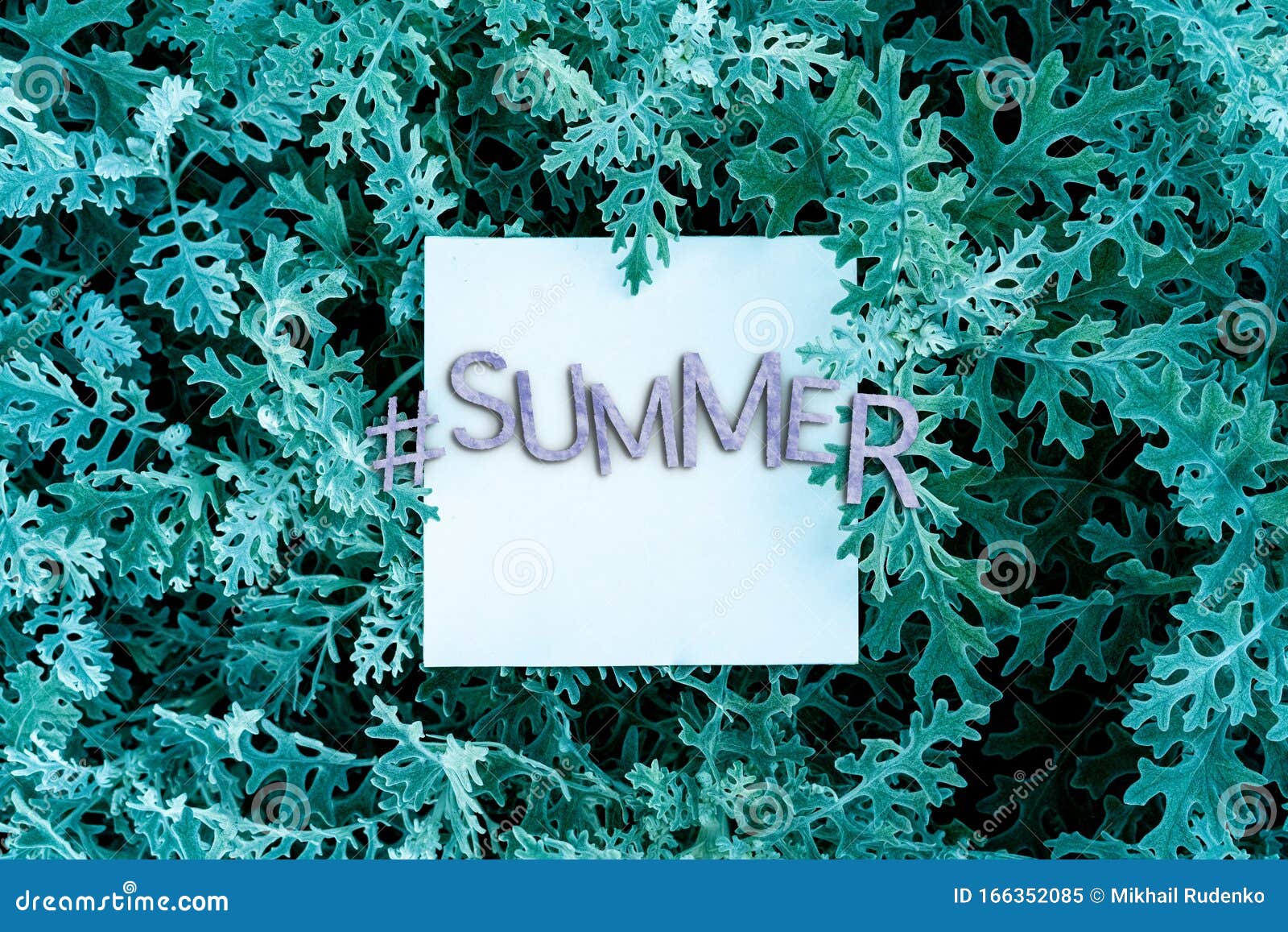 A Hashtag Summer Word Text on the Leafs and Flowers Background with