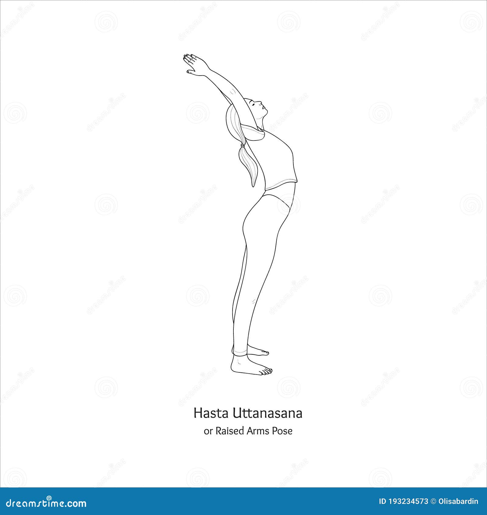 Woman practicing Hasta Uttanasana, Raised Arms Yoga Pose, Surva Namaskara.  Front view and side view Stock Photo - Alamy