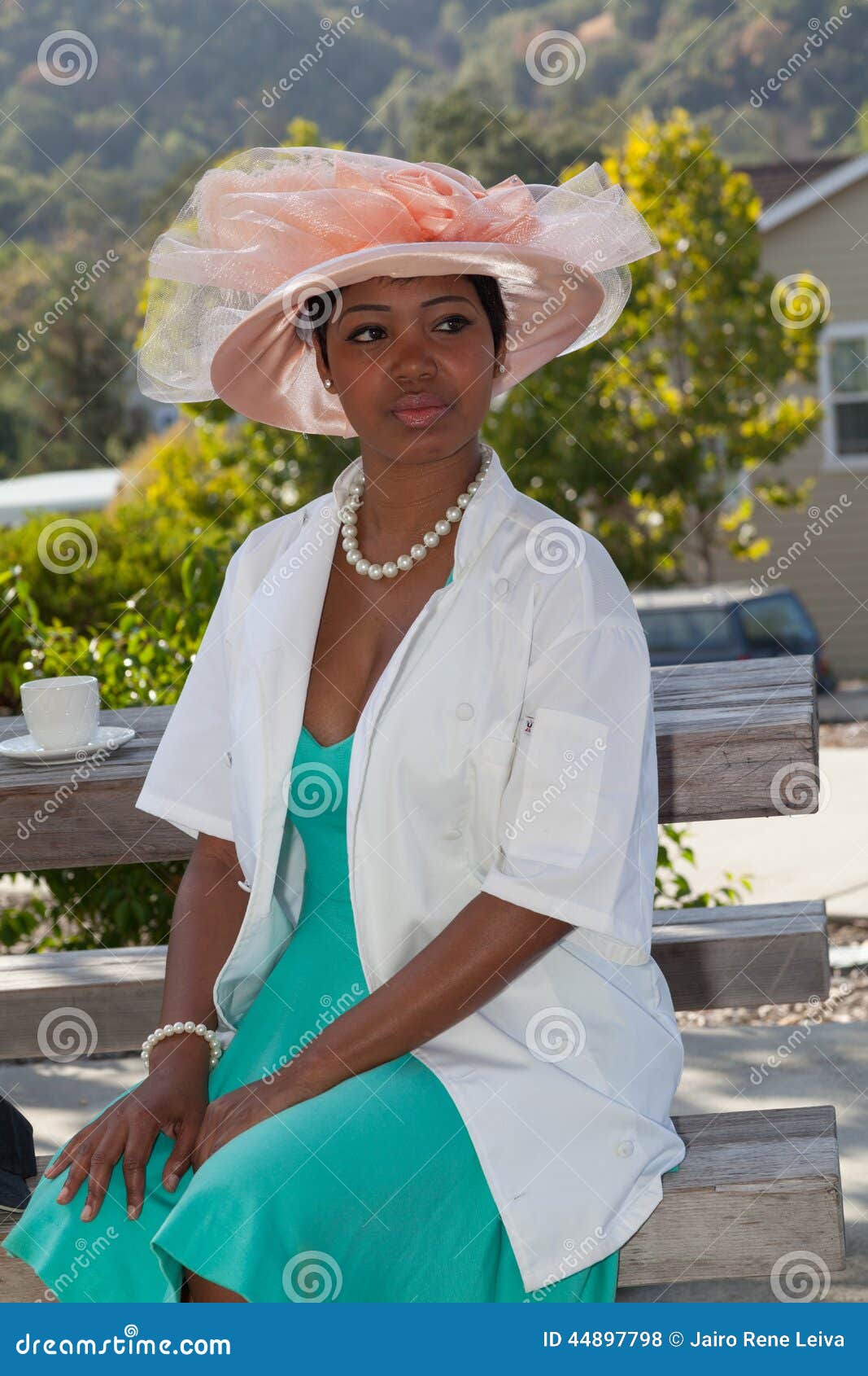 The hat and the beauty stock photo. Image of high, portraits - 44897798