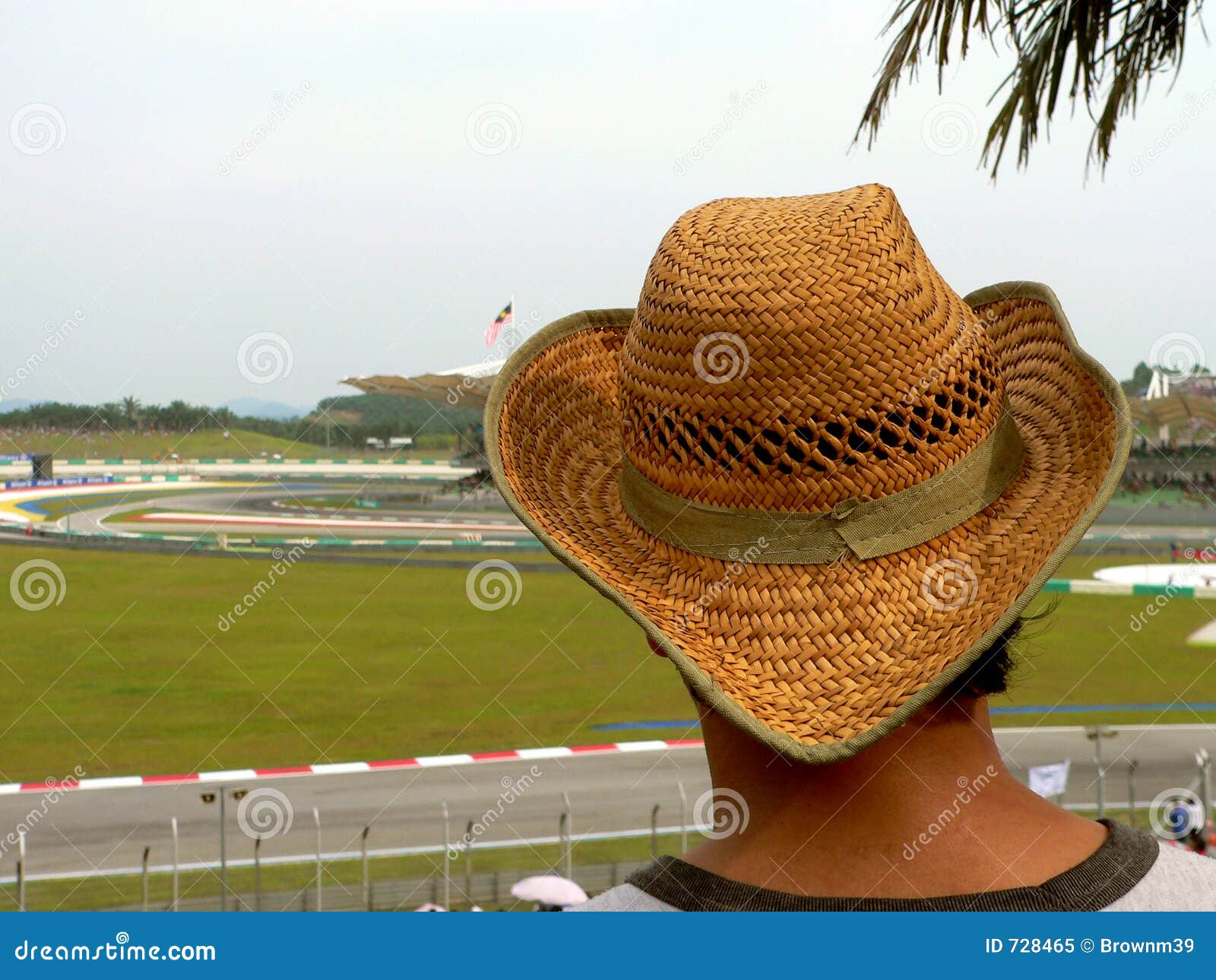 hat on spectator