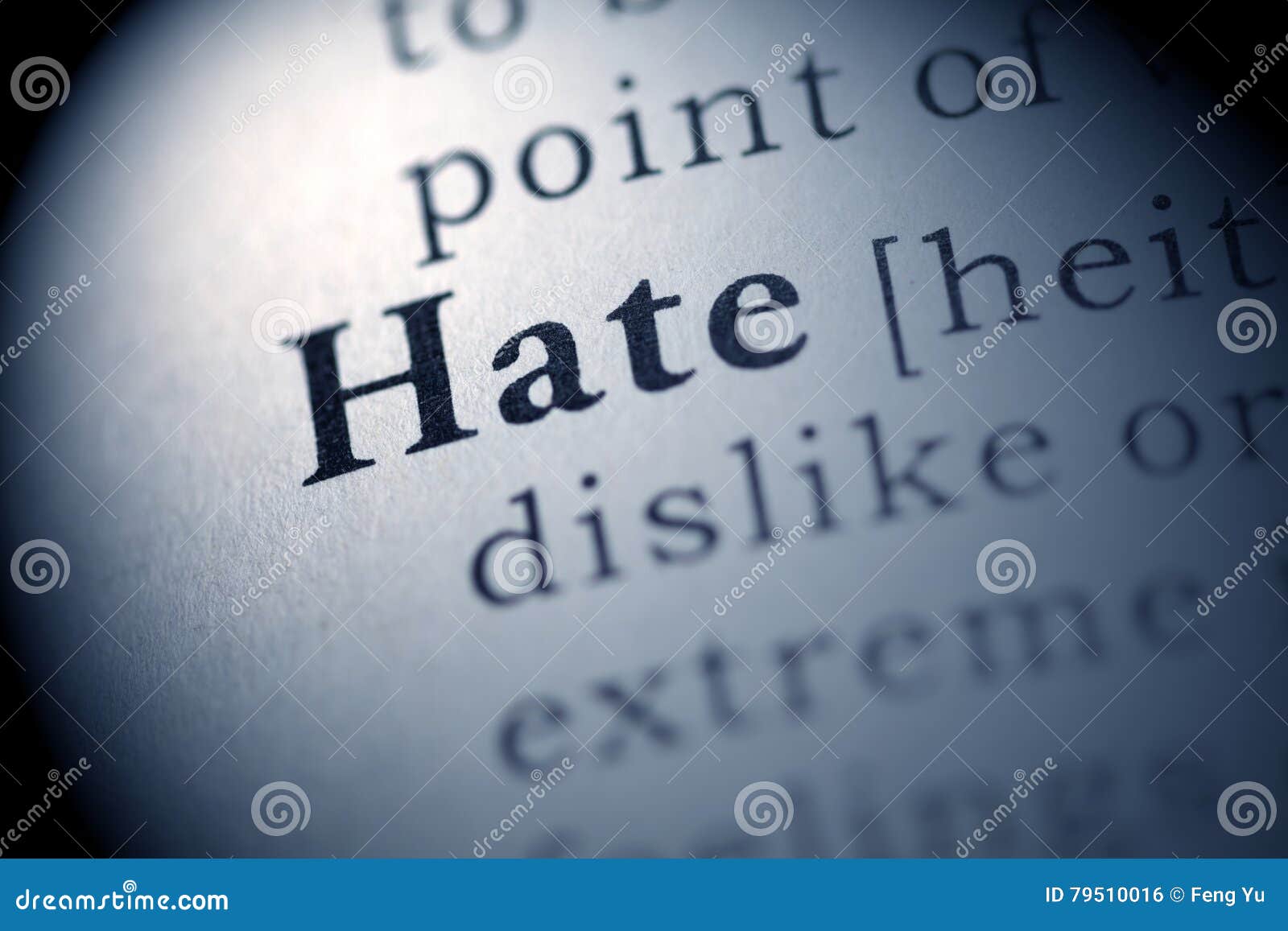 HATE DEFINITION MEANING visual data 2