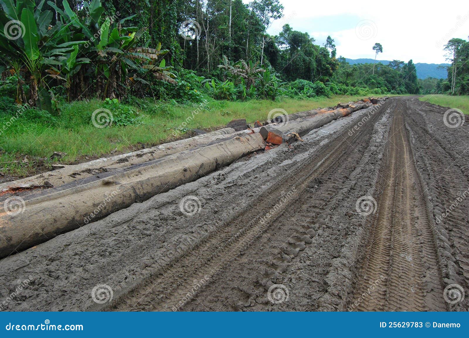 haulage road in outback of papua new guinea