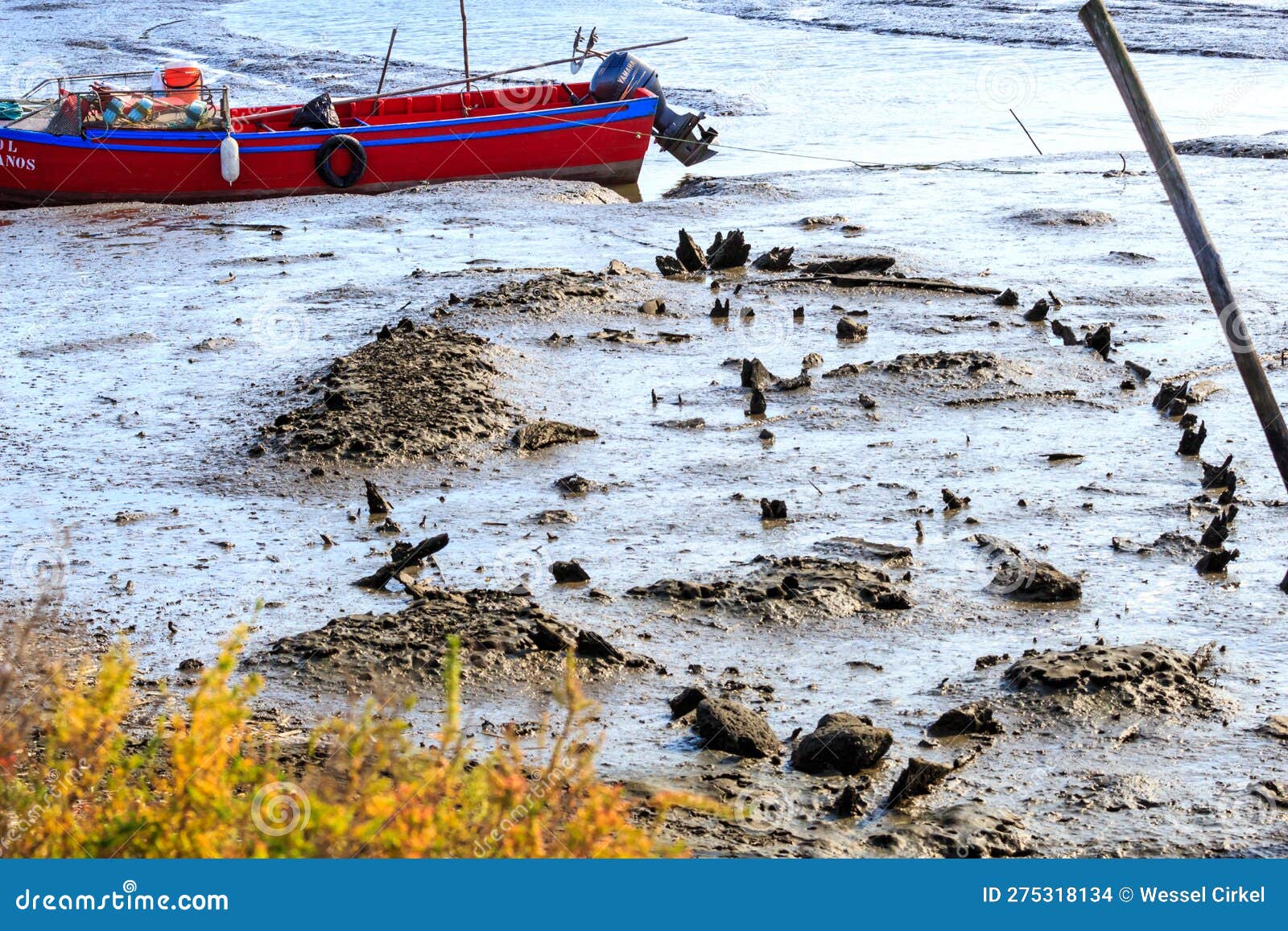 haunting outline of wrecked fishing boat emerges during low tide in portugal